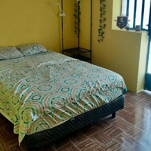 Habitación Estándar con Cama Queen